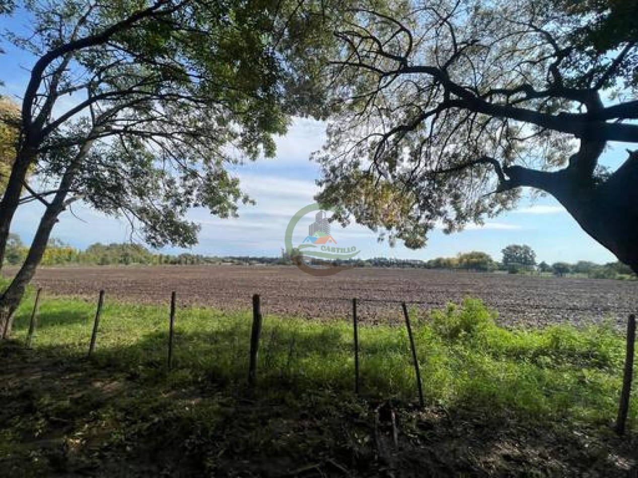 37,5 Ha Agricolas - Zarate