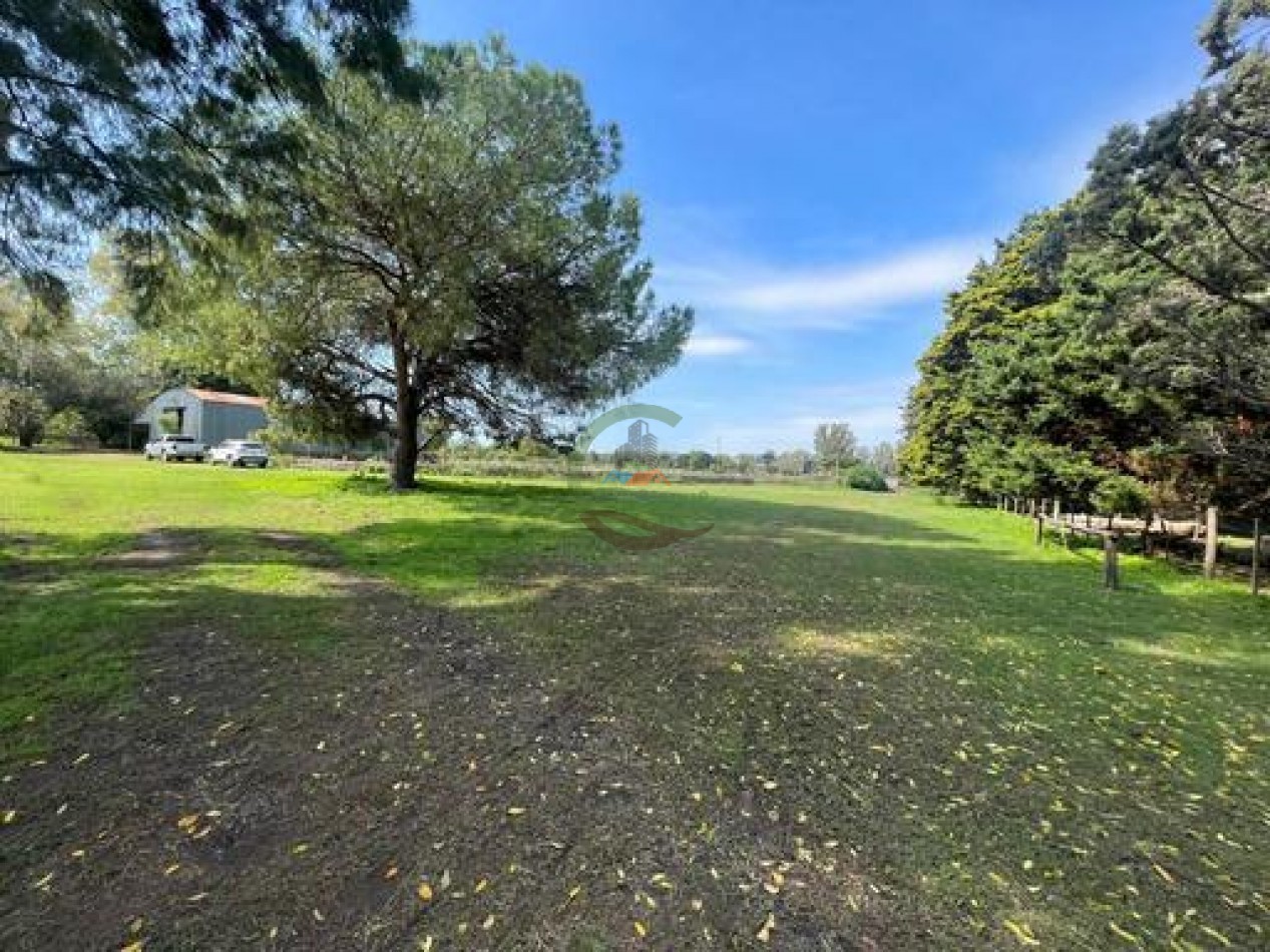 37,5 Ha Agricolas - Zarate