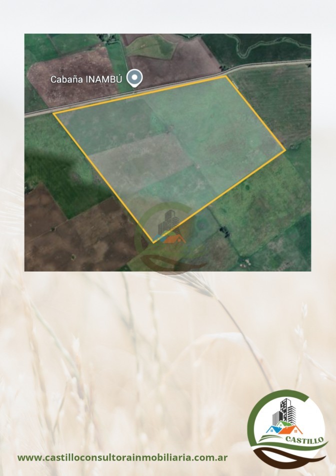 116 ha agricolas - balcarce