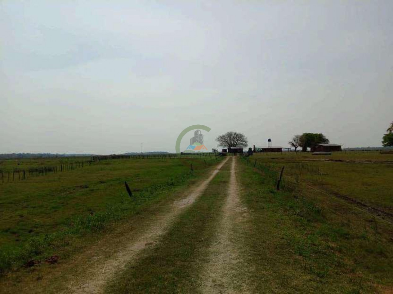 4168 Ha Mixto - San Luis del Palmar - Corrientes