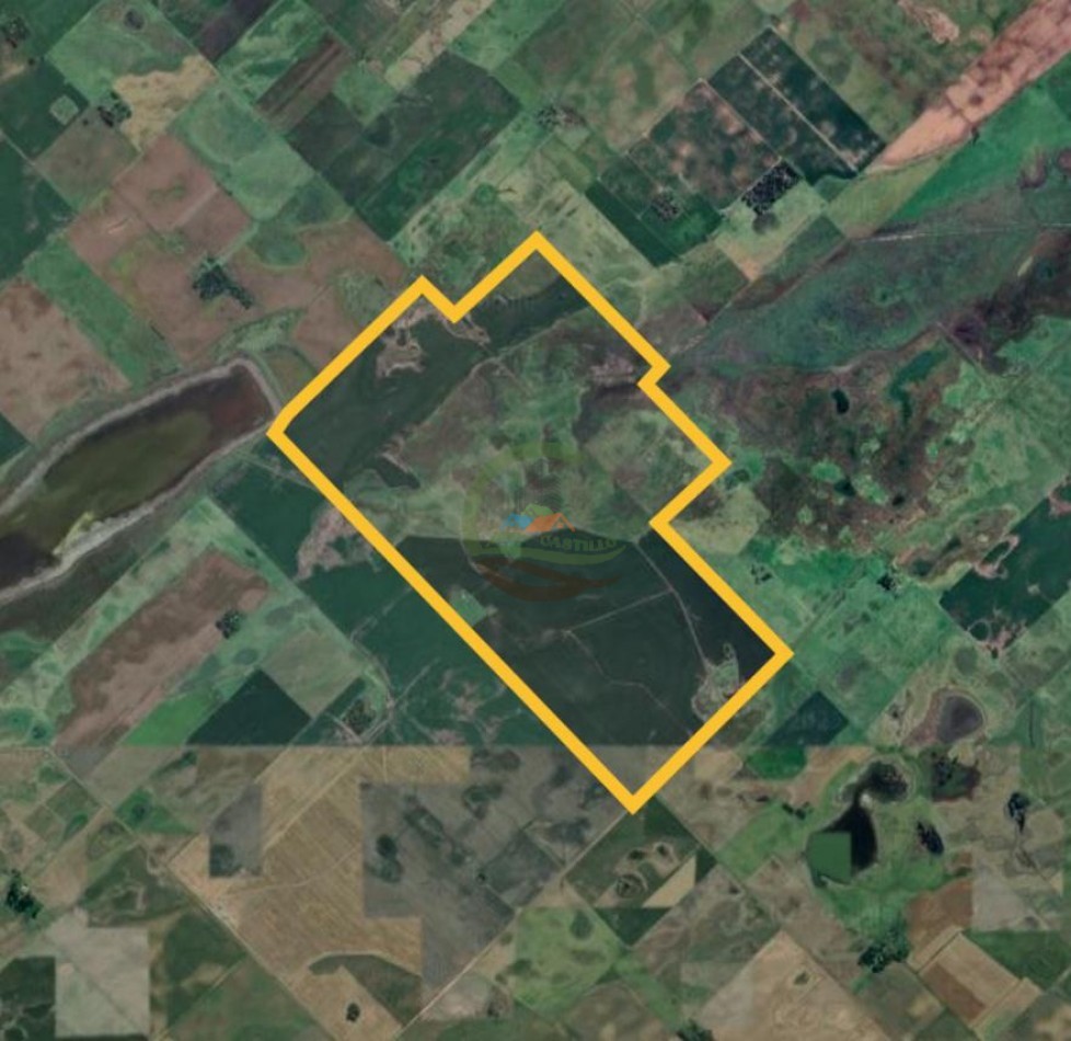 316 Ha Mixto - Bolivar - Urdampilleta 