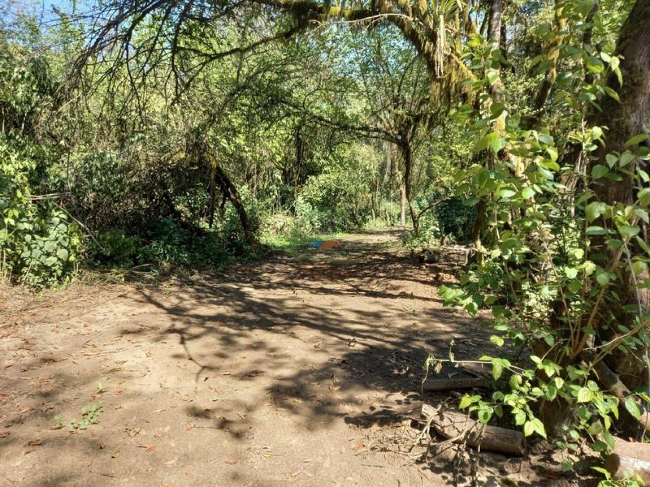 360 Ha Mixto - Santa Lucia - Tucuman