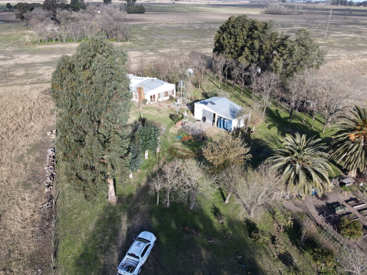 12,6 ha Mixtas - Saladillo