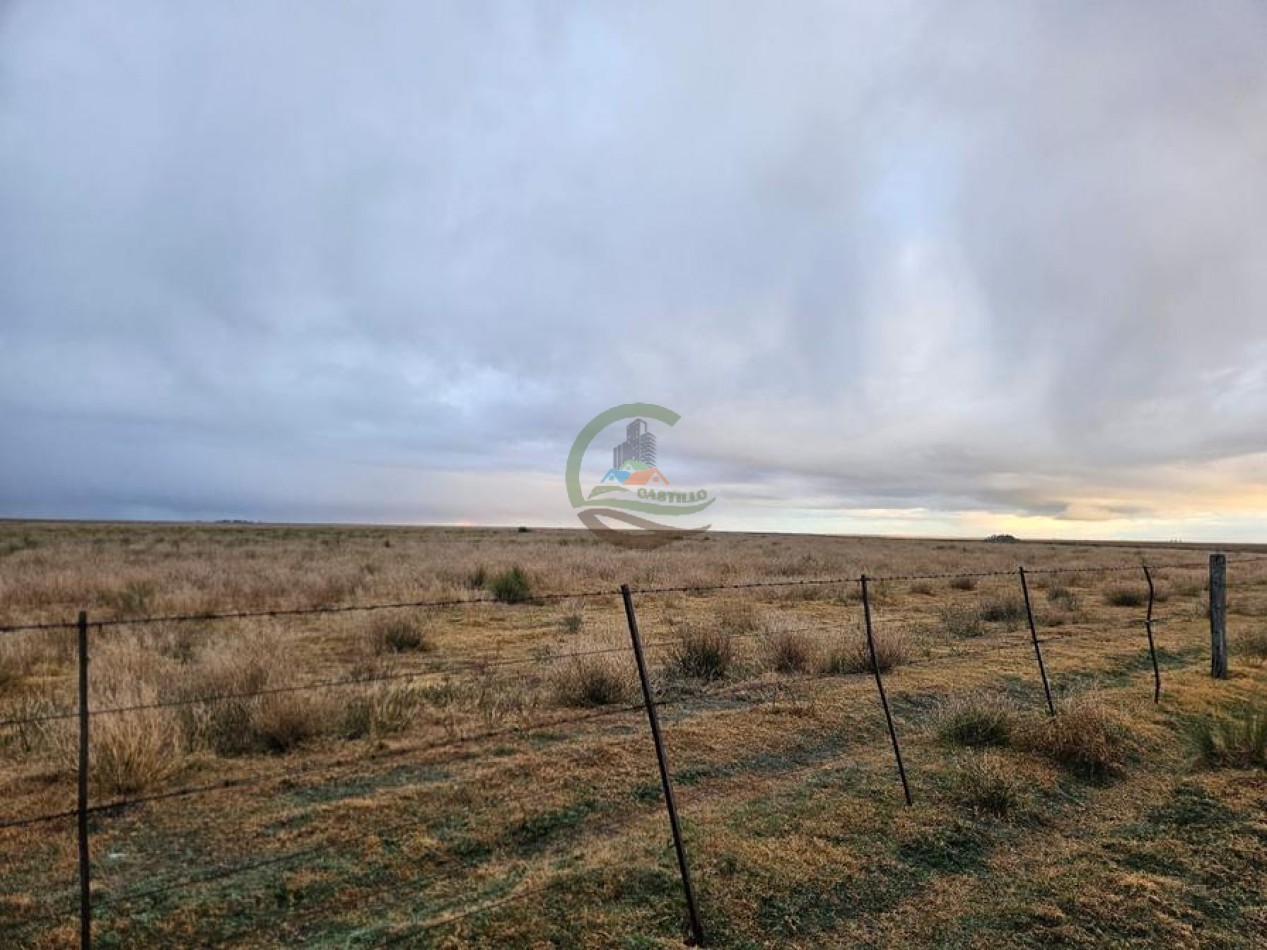 190 Ha Ganadero - Bahia Blanca