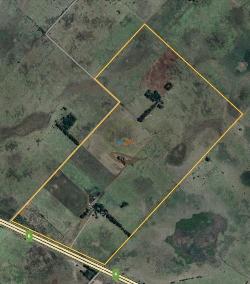 175 Ha Mixtas - Abasto - La Plata