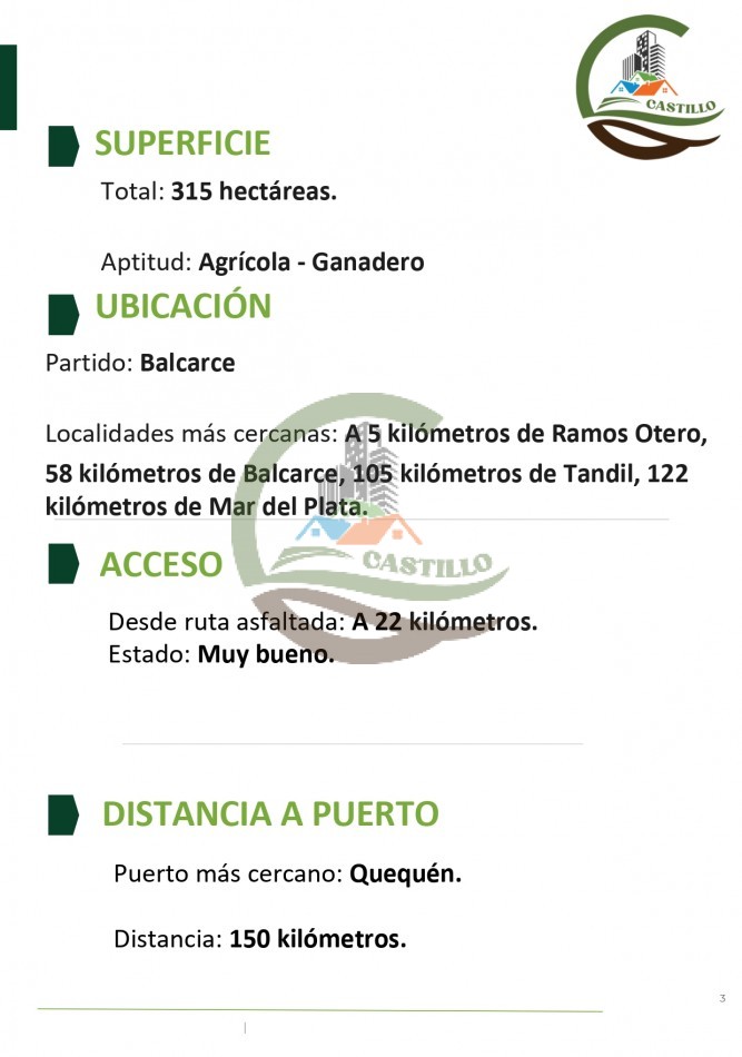 315 ha Mixto - Balcarce