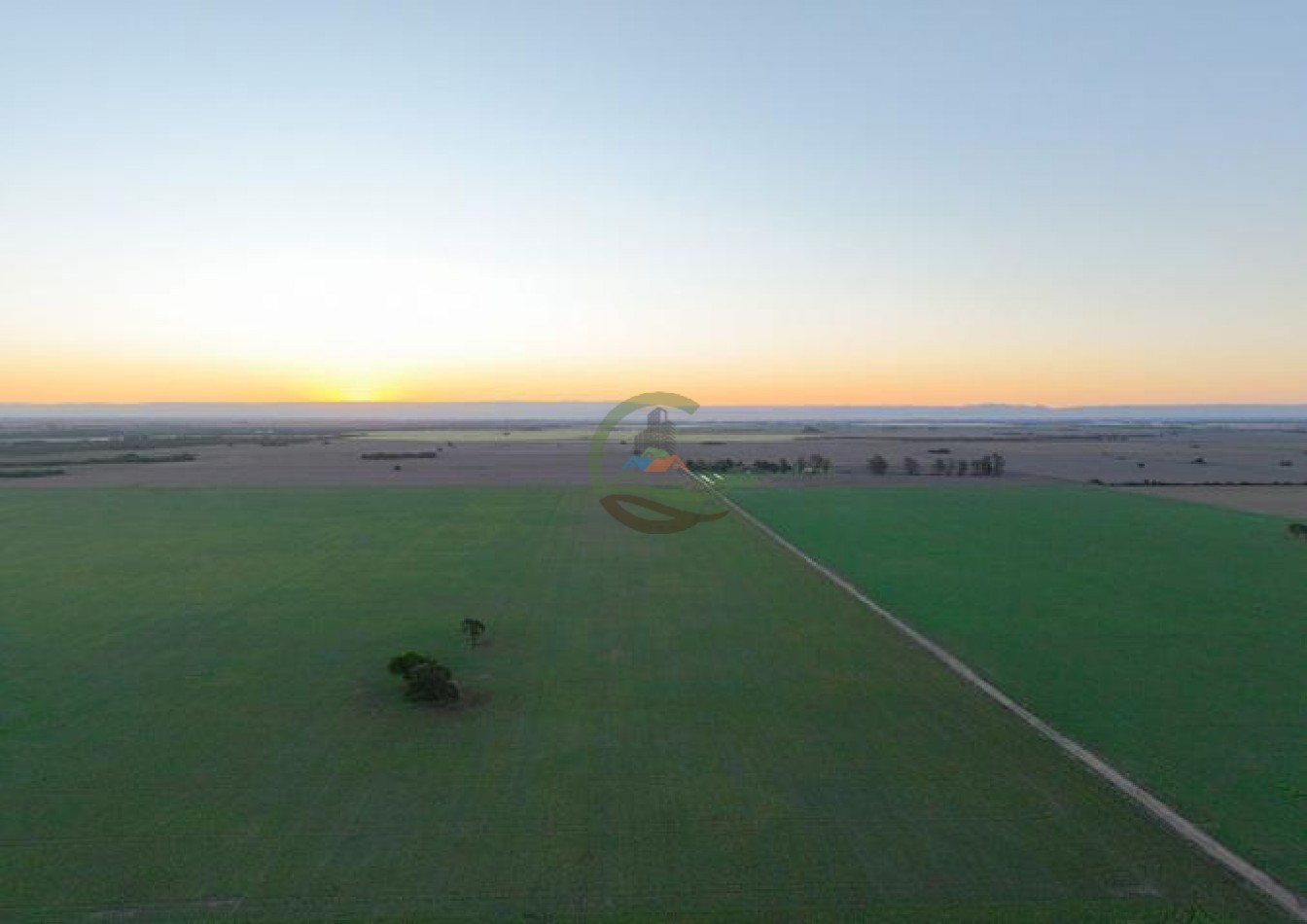 950 Ha Agricolas - Monte Cristo - Cordoba 