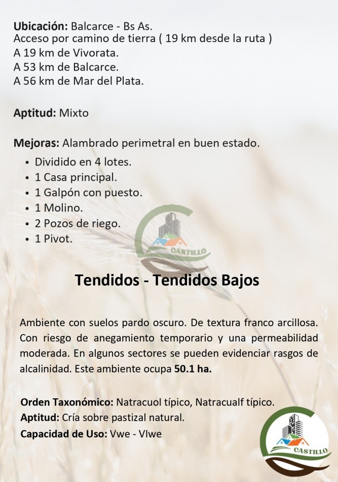 254 ha mixtas - balcarce