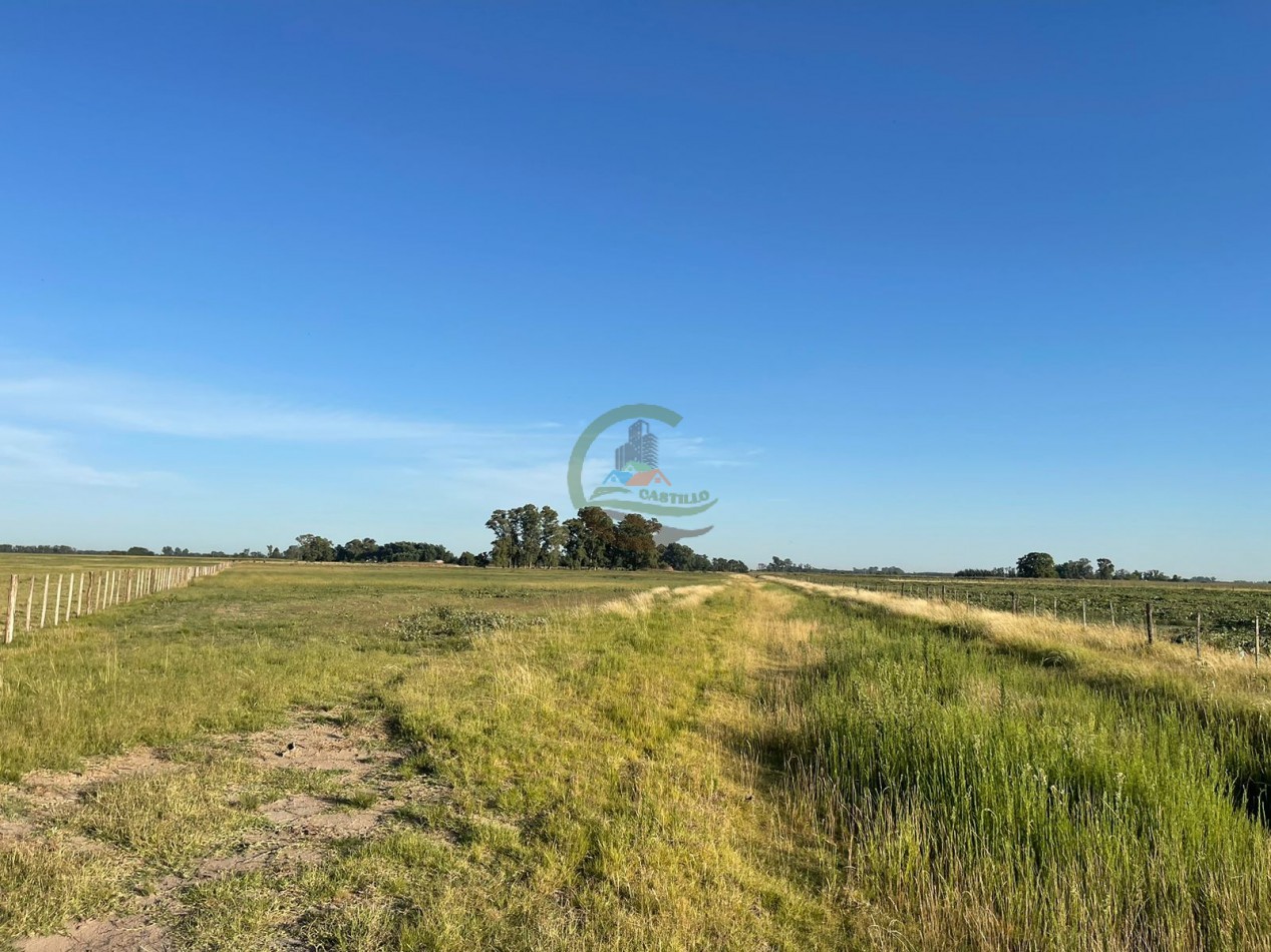 18 ha Mixtos - Pedernales