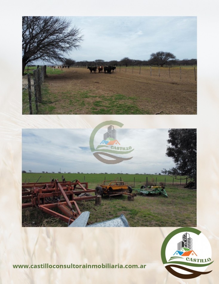 1248 ha mixto - la pampa