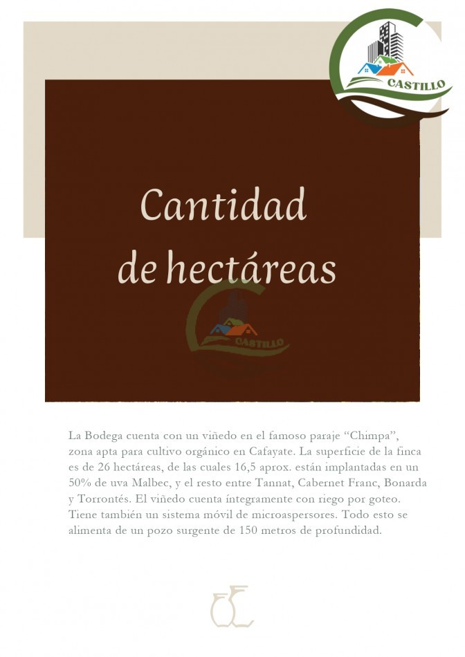 Bodega - Cafayate