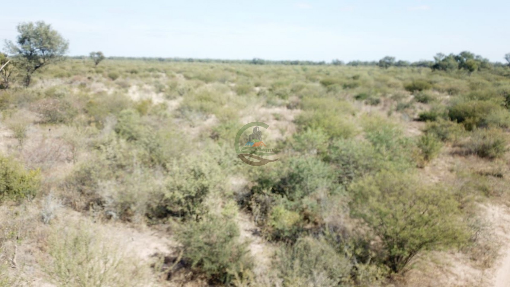 21000 ha mixto santiago del estero