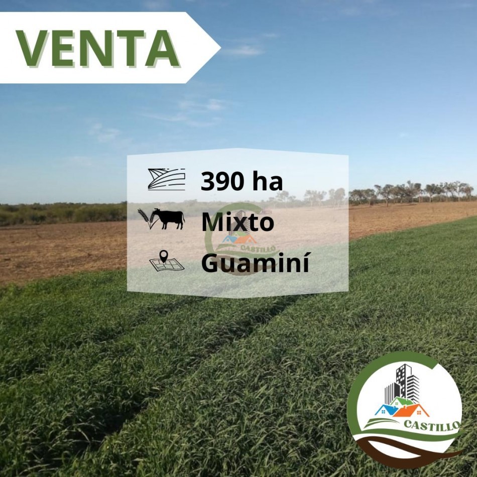 400 ha mixtas - guamini