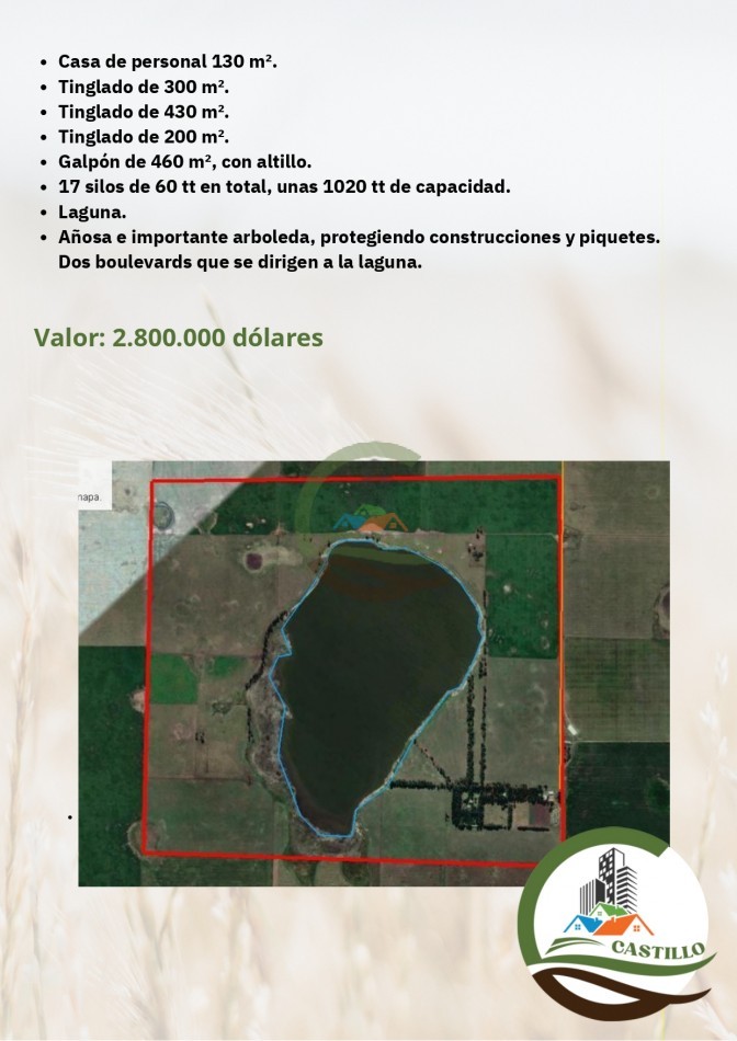 650 ha mixtas - san cayetano