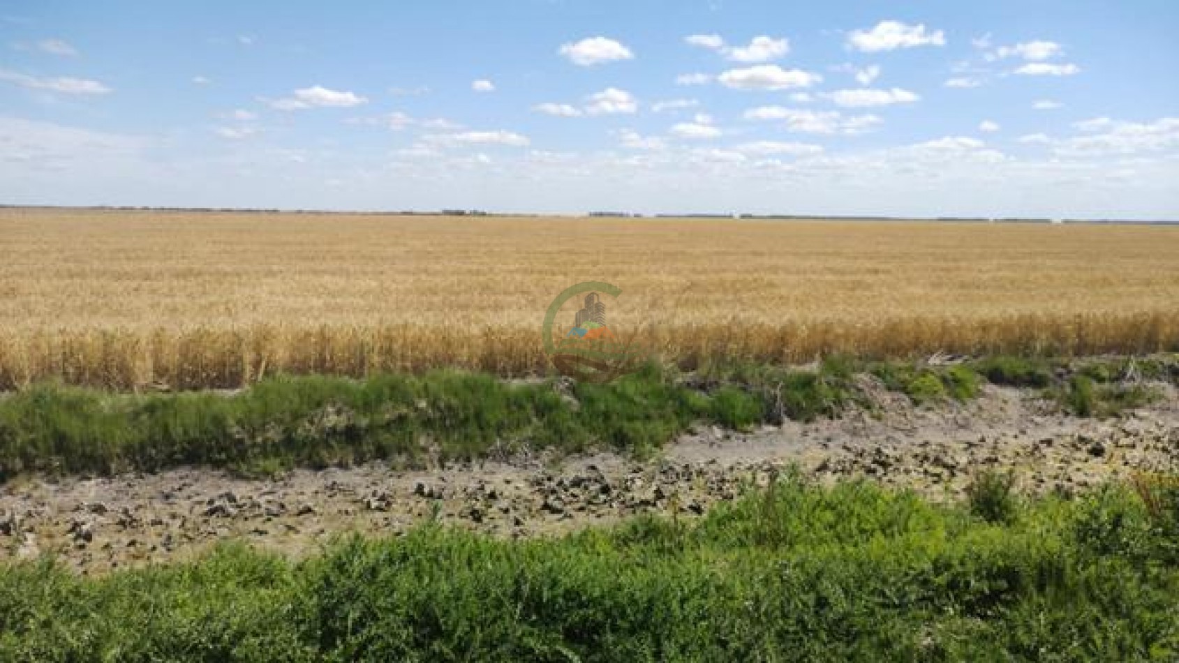 1370 Ha Agricolas - Gral Alvear