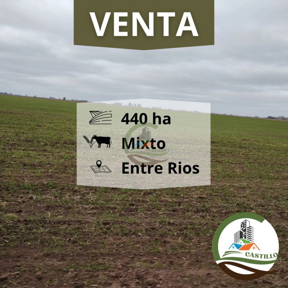 439 ha Mixta - Entre Rios