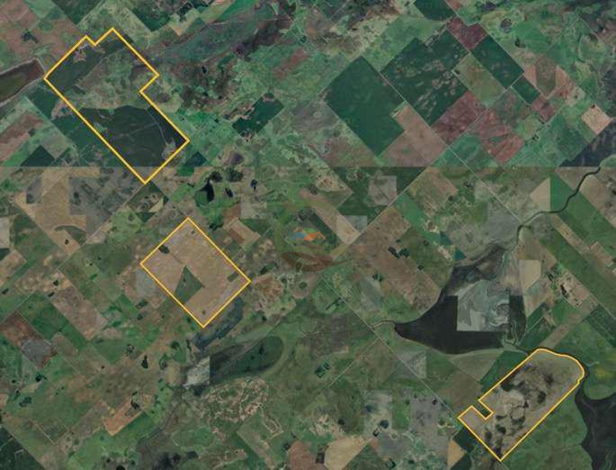 639 Ha Mixto - Urdampilleta - Bolivar