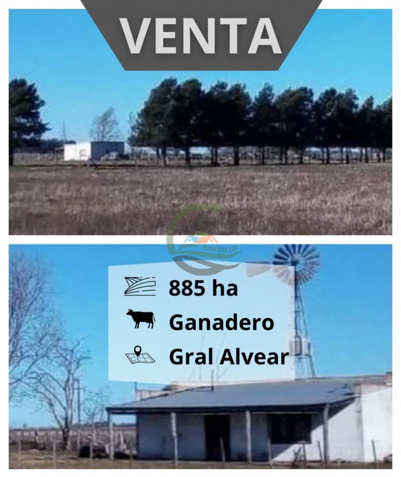885 ha Ganadero - Alvear