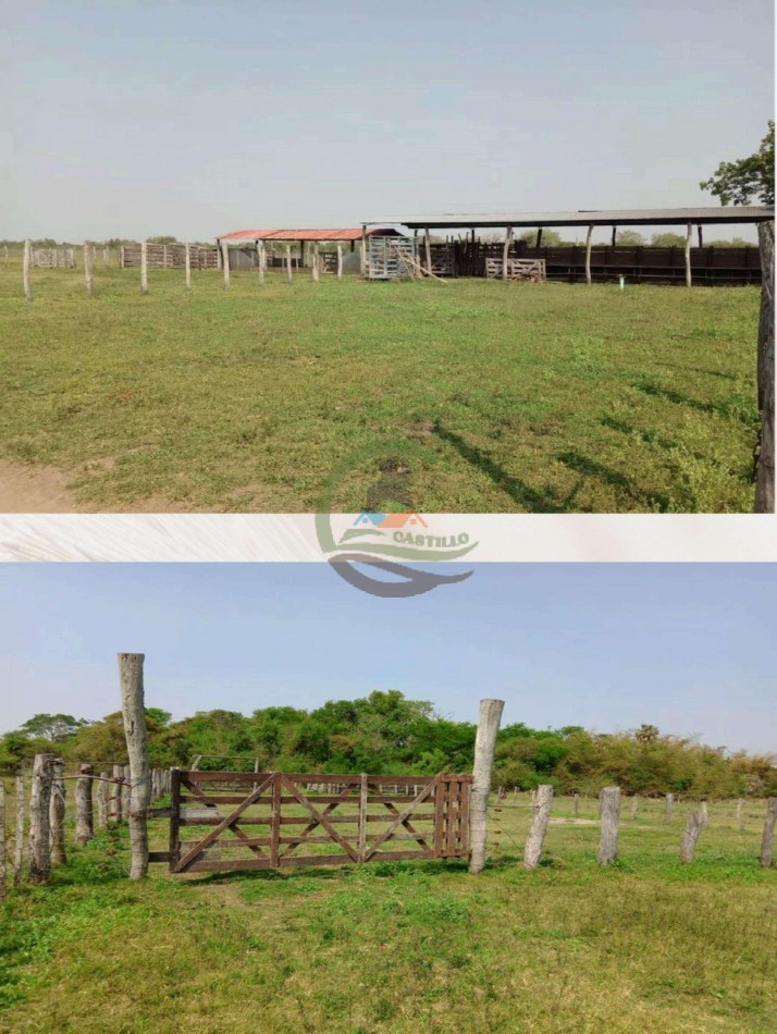 4168 Ha Mixto - San Luis del Palmar - Corrientes