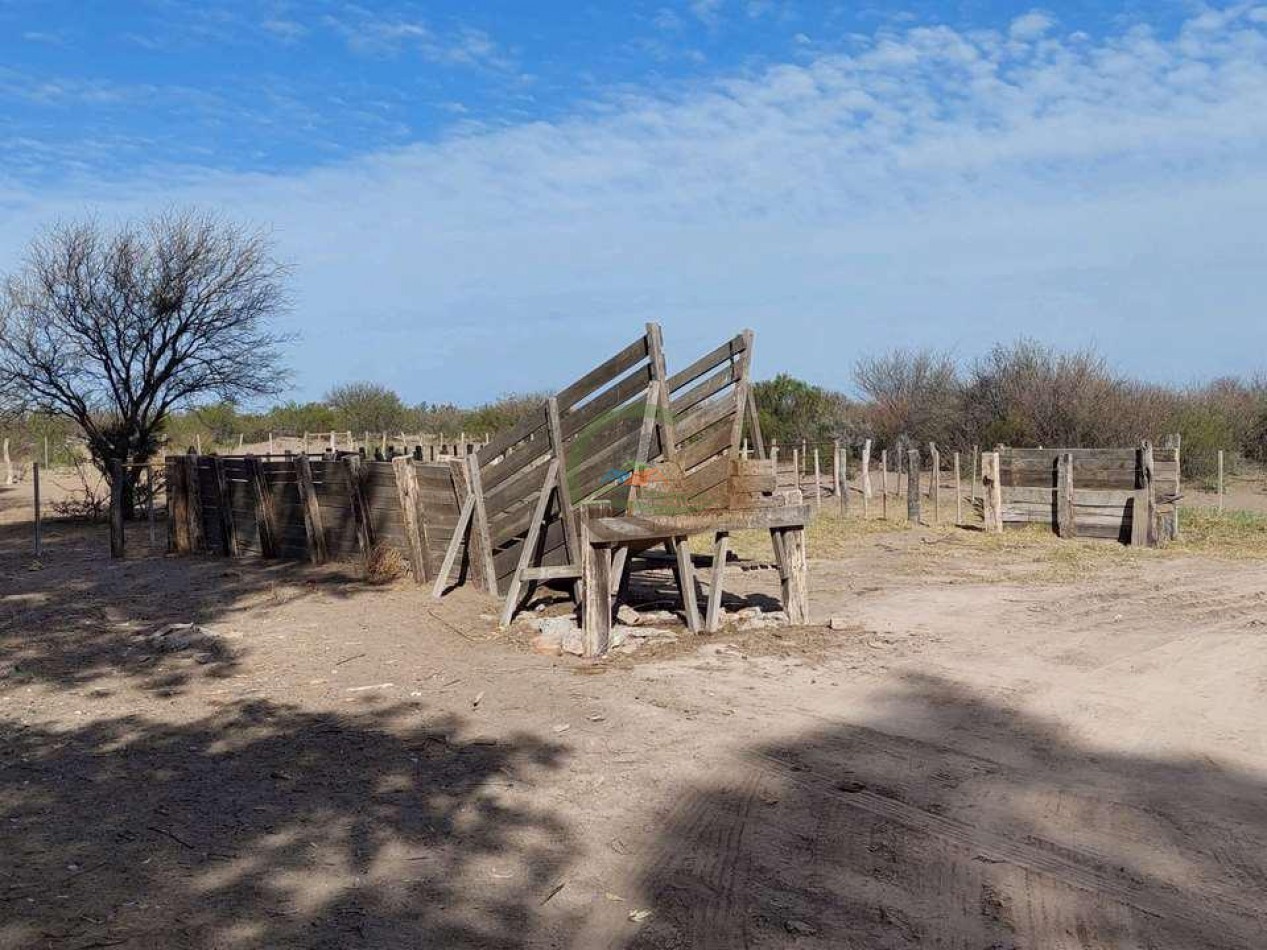 2417 Ha Ganadero (Feedlot) - Gral Alvear - Mendoza