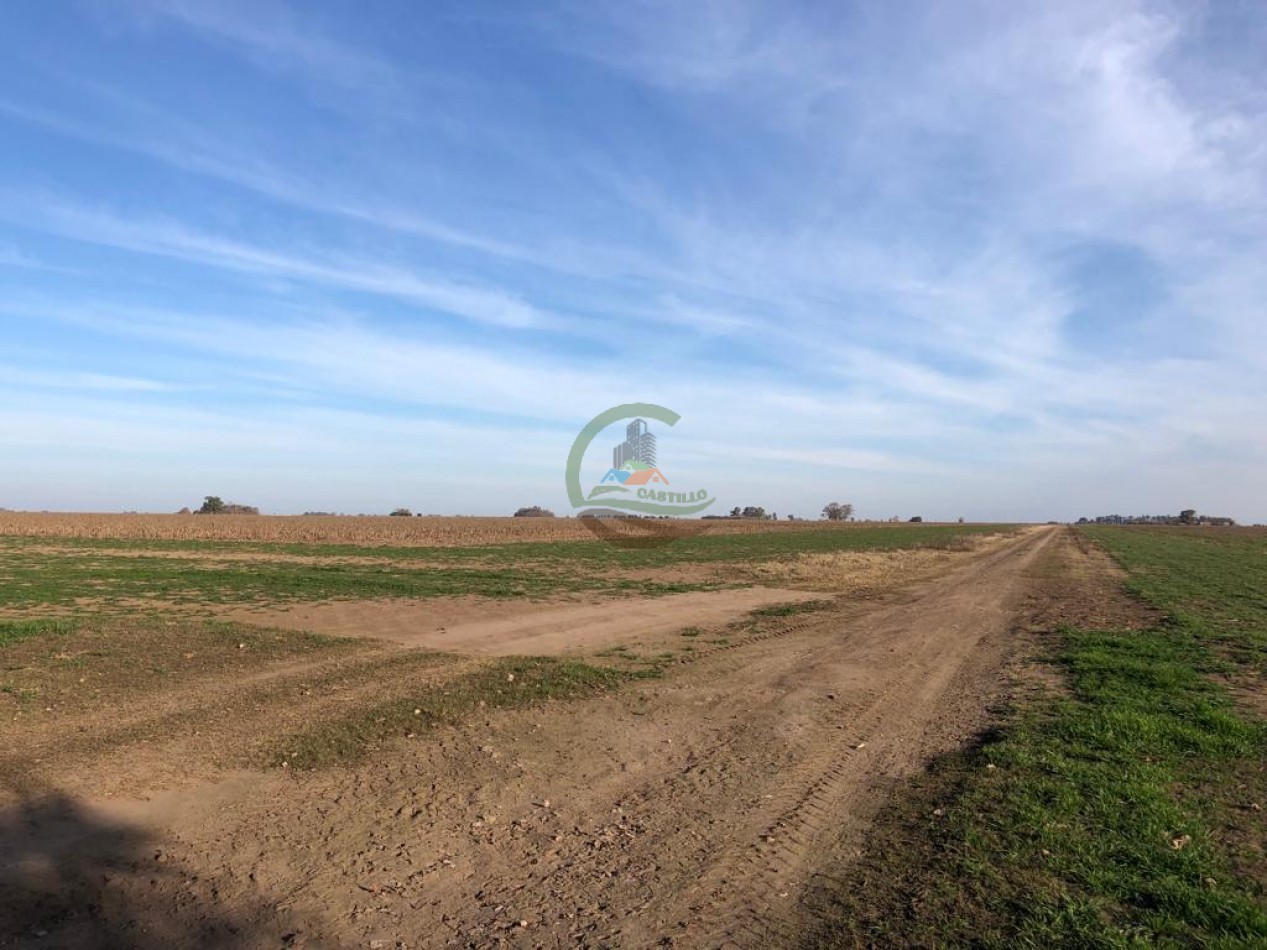 312 ha Agricolas - Cordoba