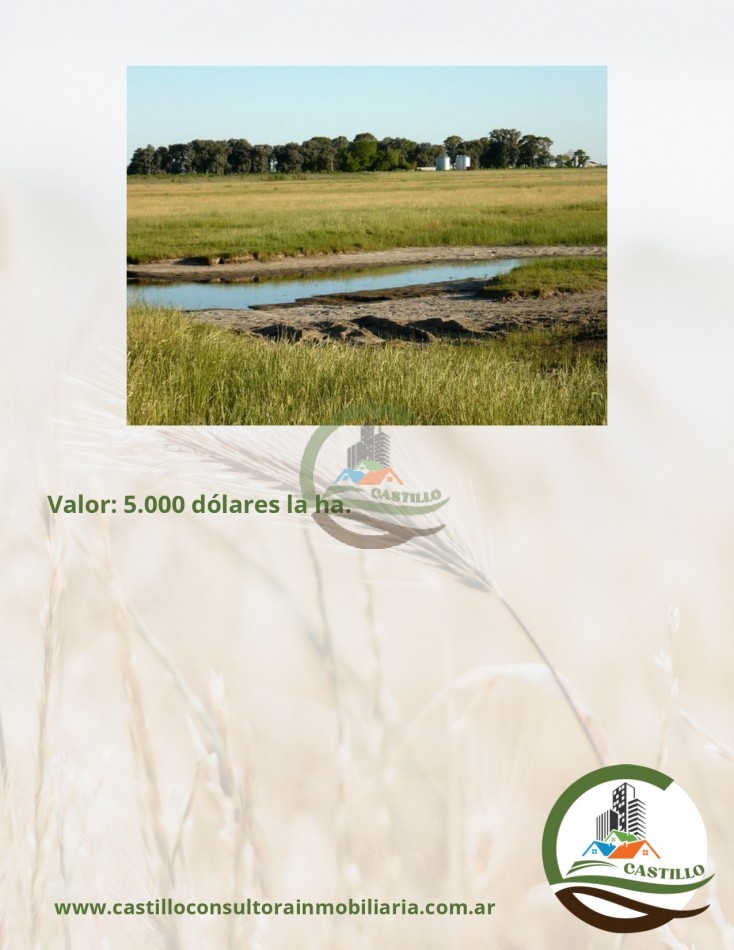 500 ha mixtas - guamini