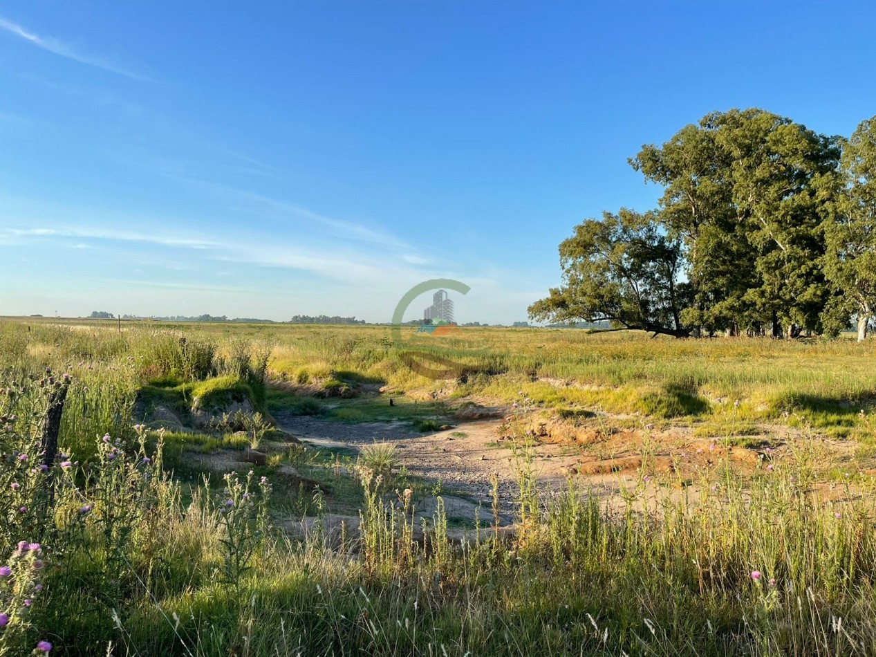 18 ha Mixtos - Pedernales