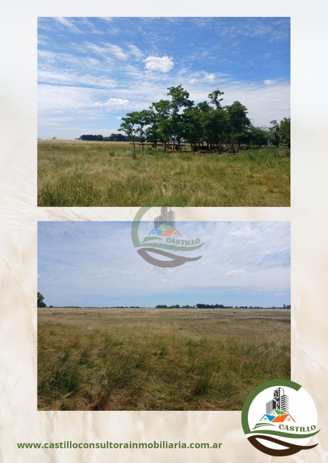 70 ha agricolas - cañuelas