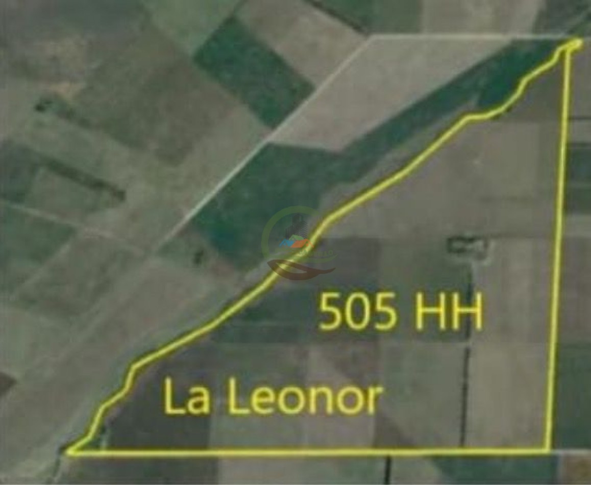 505 ha Agricolas - San Cayetano