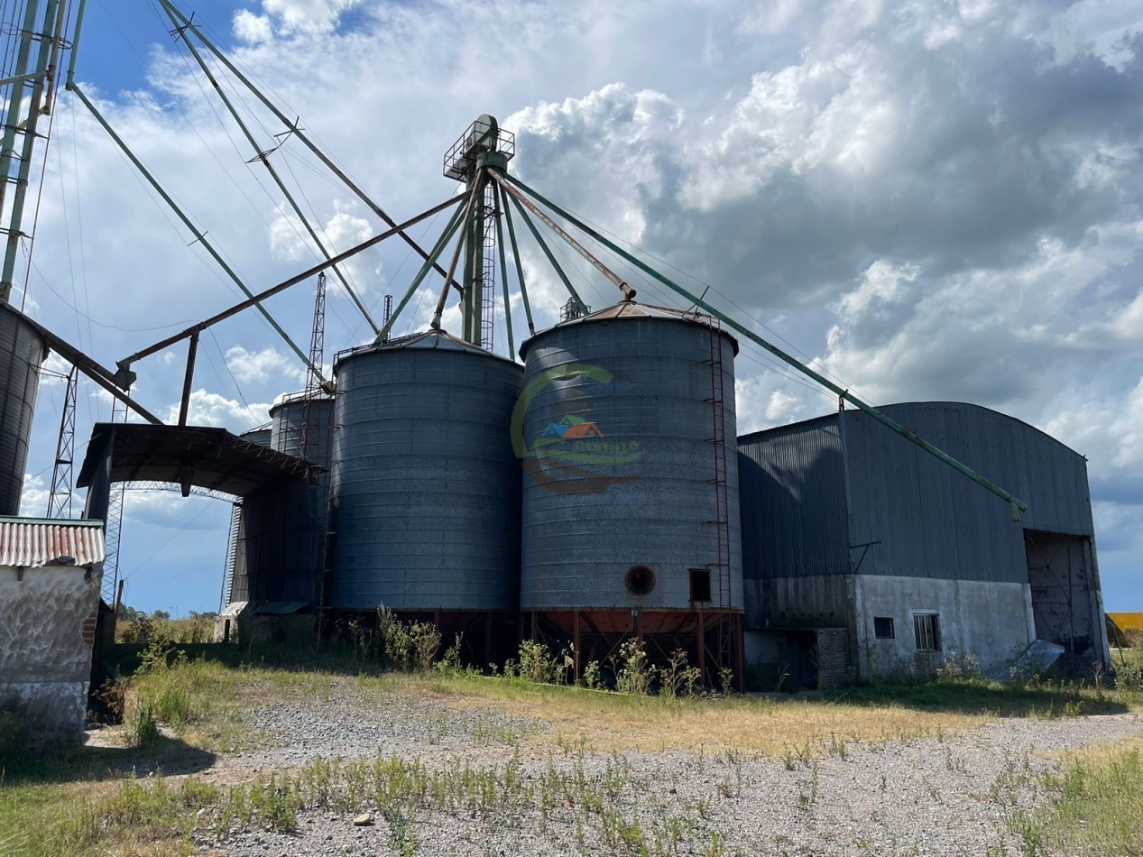 109 ha Feed Lot - Las Flores