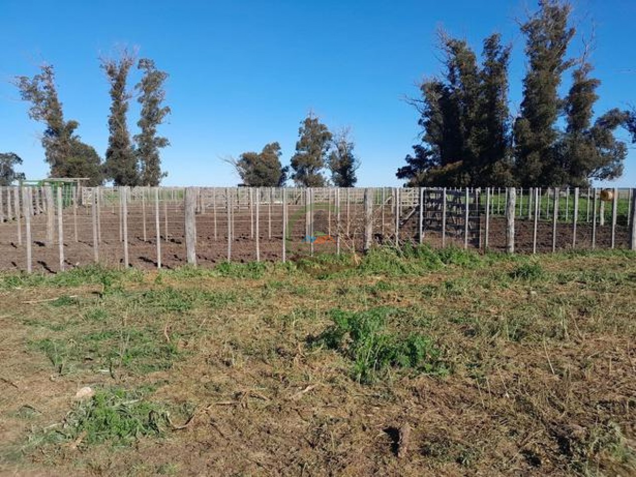 324 Ha Agricolas - San Cayetano