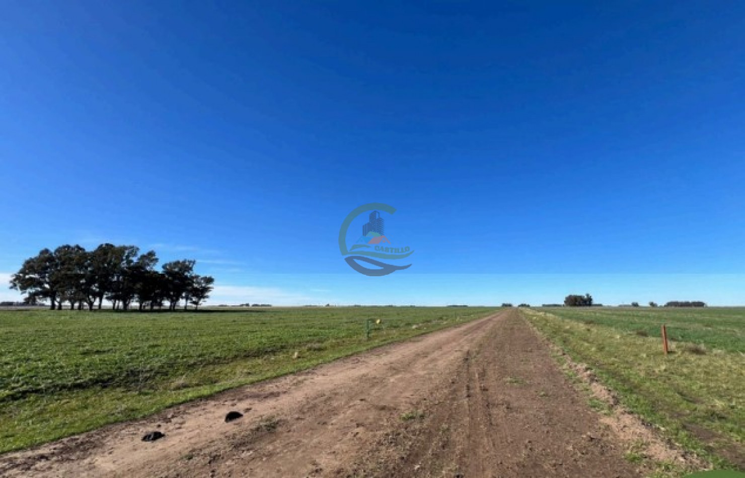 1003 Ha Mixtas - Tres Arroyos