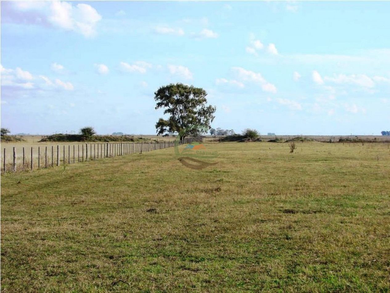1320 Ha Ganadero - Dolores