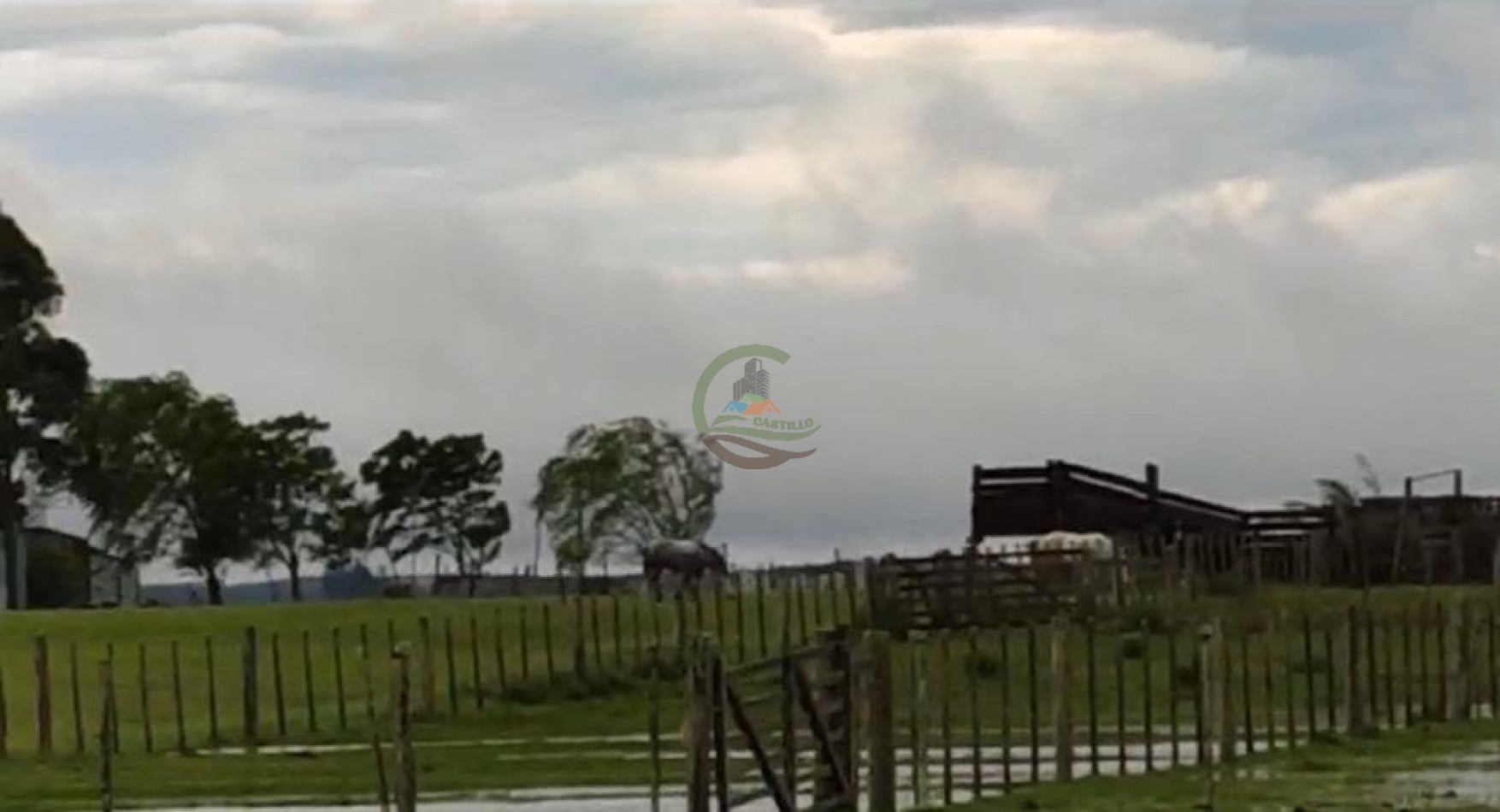 1100 Ha Ganaderas - Tacuarembo - Uruguay 