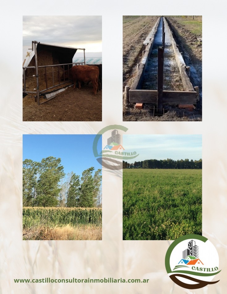 2500 ha mixtas - pedro luro
