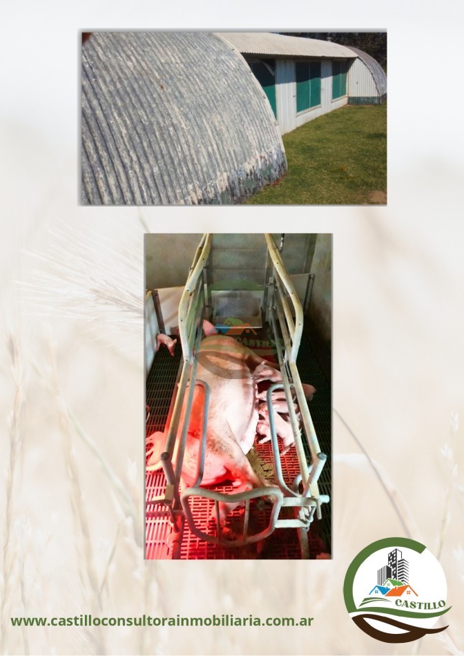 4 ha Granja porcina - santa fe