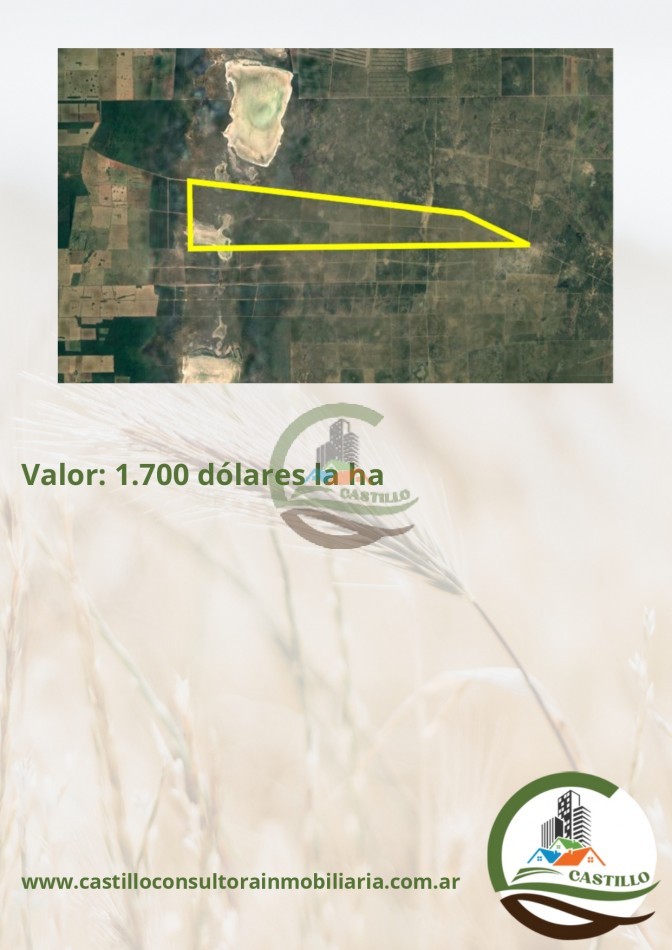 3300 ha ganaderas - cordoba  