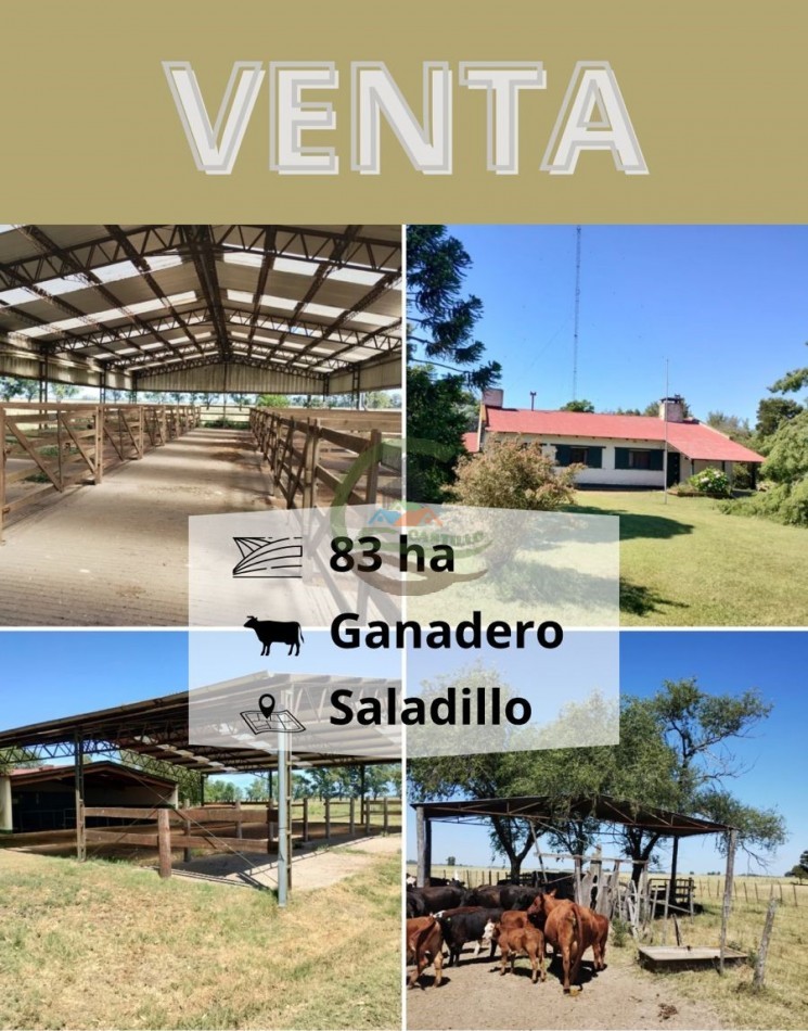 83 ha Ganadero - Saladillo