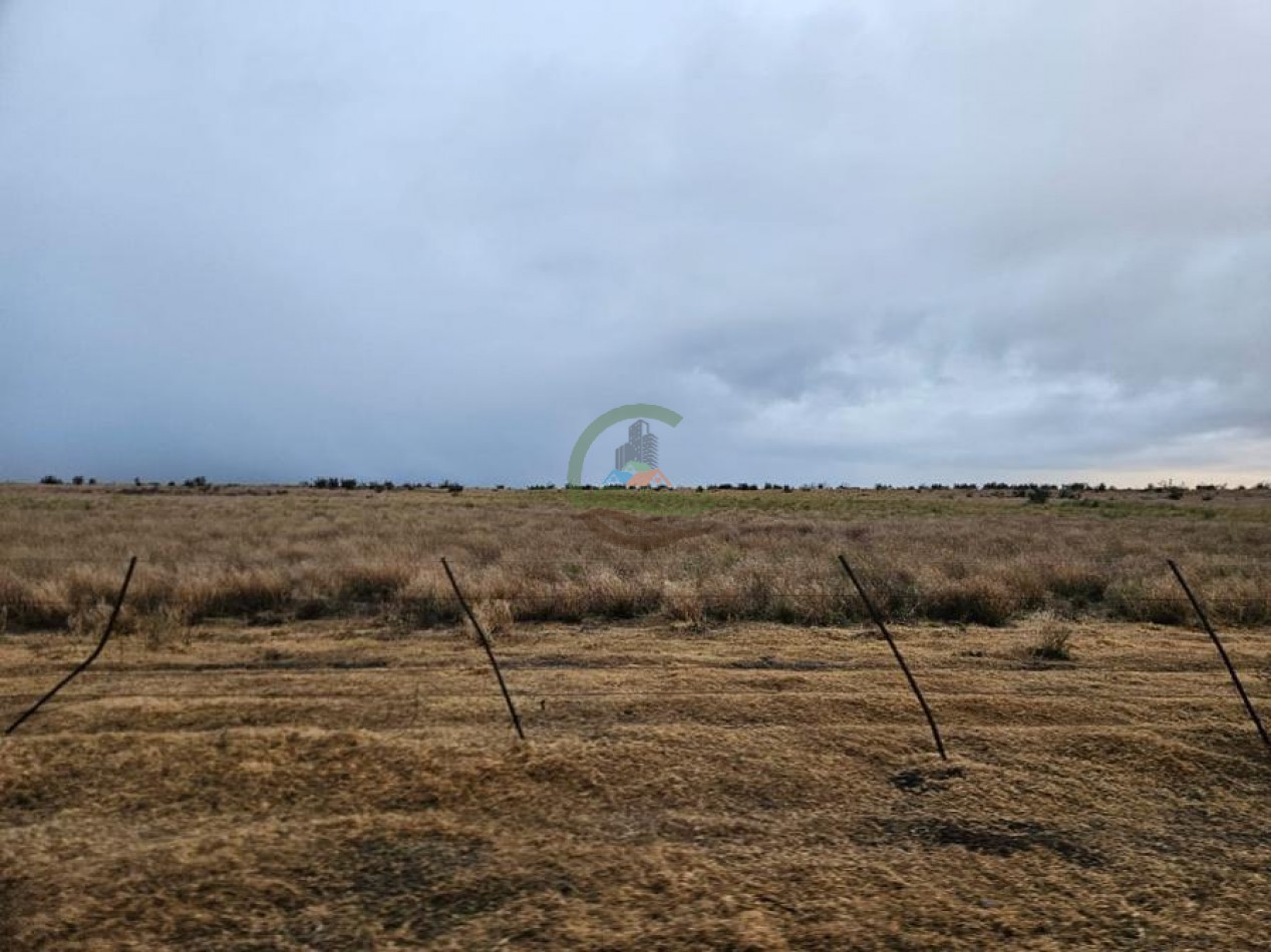 190 Ha Ganadero - Bahia Blanca
