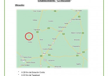 438 ha Ganadero - Tapalque