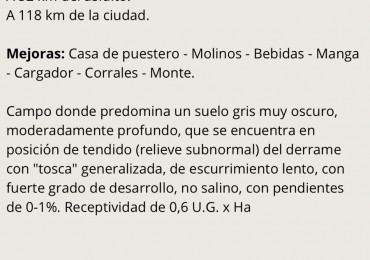 867 ha Ganadera - Olavarria 