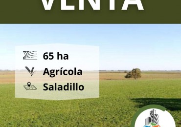 62,5 ha Agricolas - Saladillo