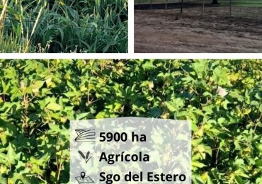 5900 HA Agricolas - Malbran S del Estero
