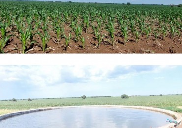 2120 ha Agricola - Villa Mercedes