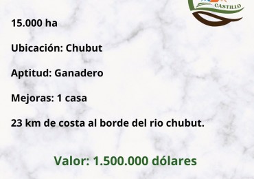 15000 ha Ganaderas - Chubut