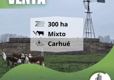 300 ha Mixtas - Carhue