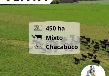 446 ha Mixtas - Chacabuco