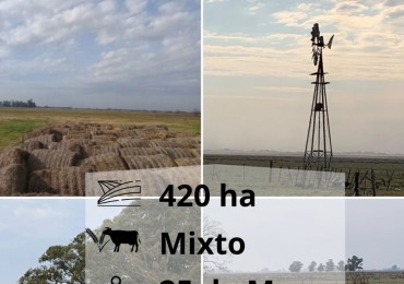 420 ha Mixtas - De La Riestra