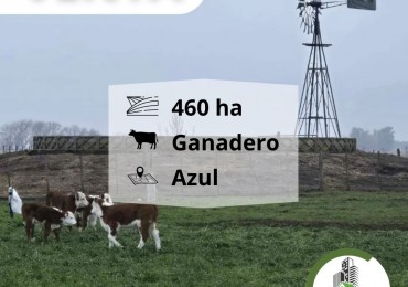 459 ha ganaderas - Cachari