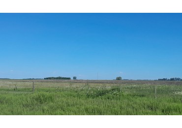 60 ha MIxtas - las flores